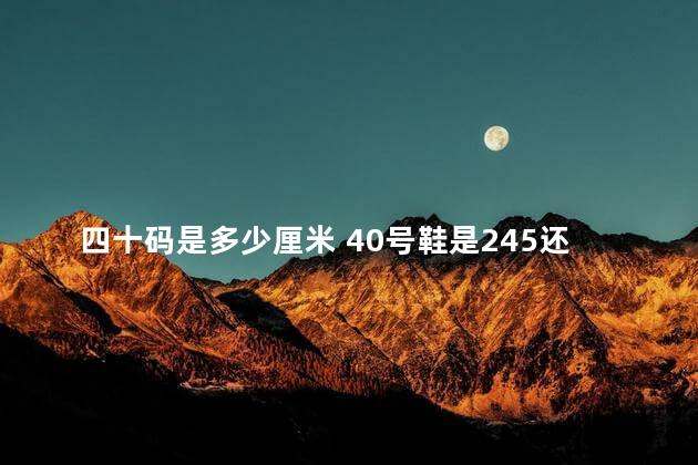 四十码是多少厘米 40号鞋是245还是250